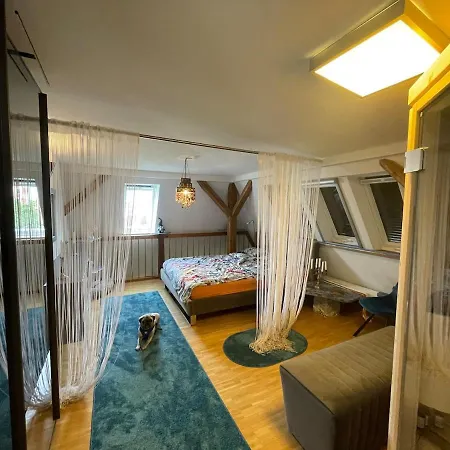 Luxus Penthouse 100qm Mit Sauna, Whirlpool, Terrasse, Garage, Ruhig Und Zentral * Ulm